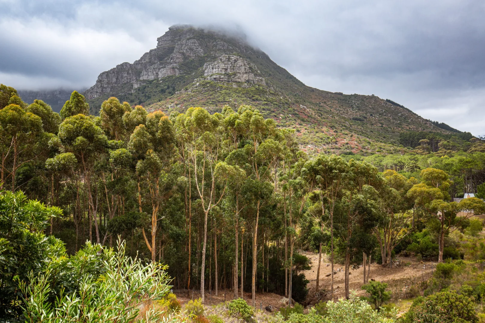 SILVERMIST WINE ESTATE